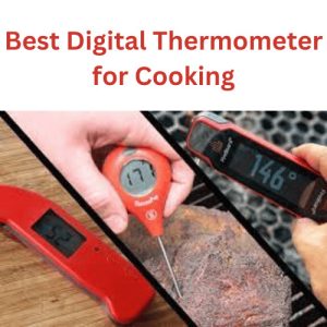 Best Digital Thermometer for Cooking