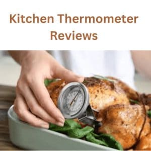 Kitchen Thermometer Reviews