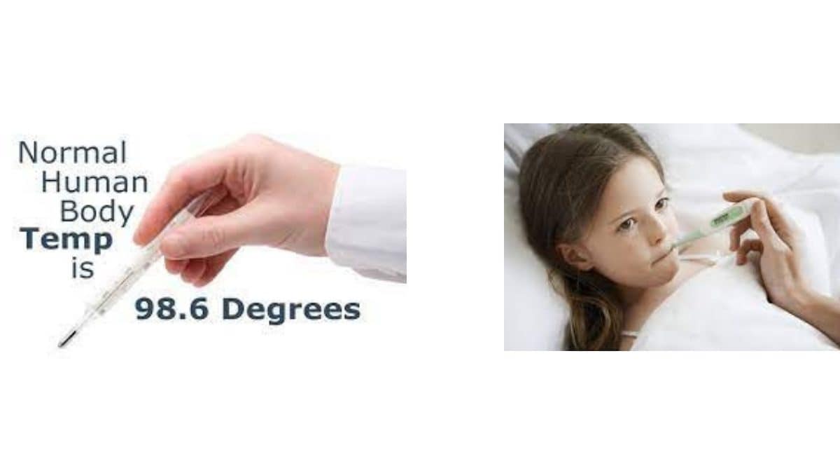 The Best Thermometer By Doctors for 2022