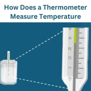How Does a Thermometer Measure Temperature
