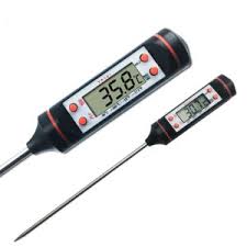 Best Digital Meat Thermometers